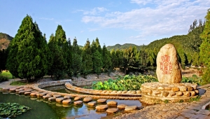 清东陵万佛园墓地位置指南：探寻河北省唐山市遵化市的安宁之所