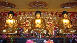 探秘城市绿肺中的静谧陵园：自然与文化的交融