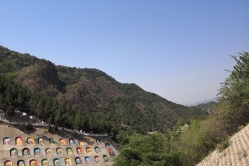 盘龙台公墓环境图