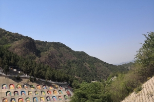 盘龙台公墓景观图片