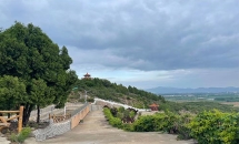 雁阳山公墓环境雁阳山公墓_44