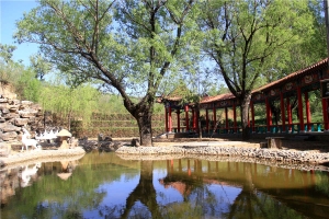 福安园公墓景观图片