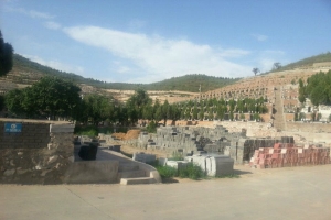 龙泉公墓景观图片