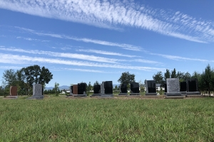 天福园公墓景观图片