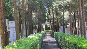 北京外侨公墓陵园电话咨询服务全攻略