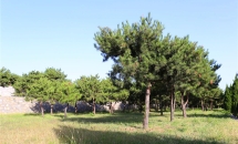 太子峪陵园环境图1893434374_-2030097187_-1891086808