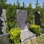 天荷园立碑189400