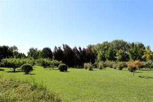 海淀合法公墓选购指南：北京市海淀区正规墓地全解析