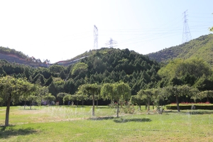 万佛华侨陵园景观图片