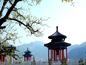 清东陵万佛园：历史与人文交织的静谧之地