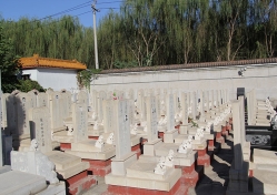 惠灵山陵园环境图