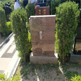 天荷园立碑165400