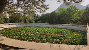 佛山陵园怎么样值得信赖吗