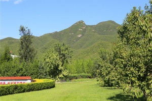 炎黄陵园景观图片