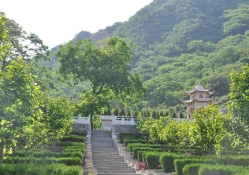 九公山陵园环境实拍