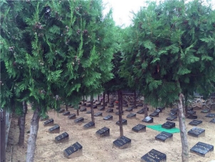 海淀温泉墓地环境特点与选购指南