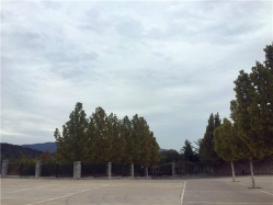 西山骨灰林陵园