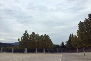 西山骨灰林陵园景观图片
