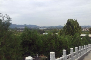 西山骨灰林陵园景观图片