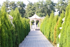 永福墓园景观实拍