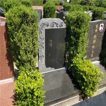 天荷园立碑04186400