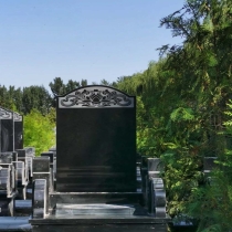 怡园C区23-27排69800