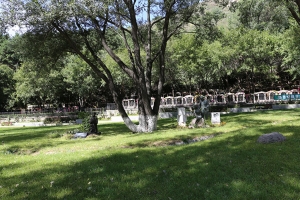 八达岭陵园景观图片
