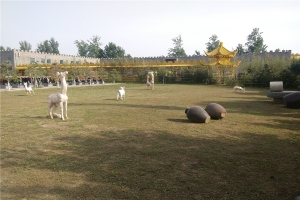 极乐园公墓景观图片