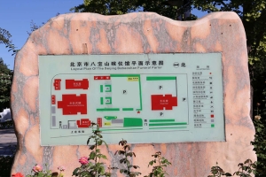 平面示意图