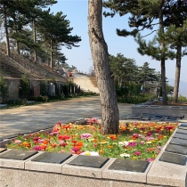 东三区花坛葬8800