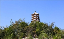 归山陵园环境实拍1565838779