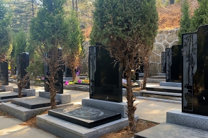 永宁陵园景观图片