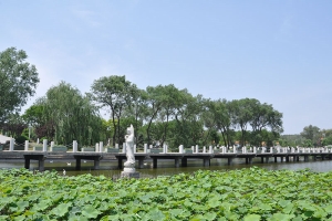 静安墓园景观图片
