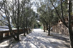 馆内道路