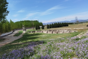 望山祖园公墓景观图片