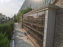 点击查看源图 永安陵园环境图