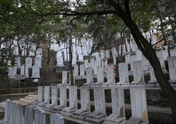 金山陵园环境图