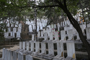 金山陵园景观图片