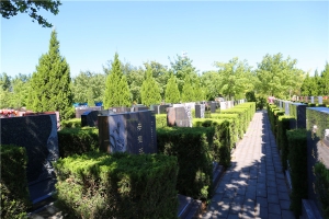 万安公墓景观图片