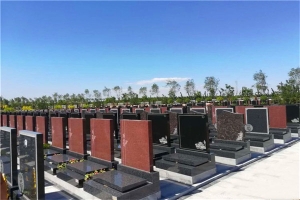 探秘古都金陵：南京明孝陵的历史与文化价值