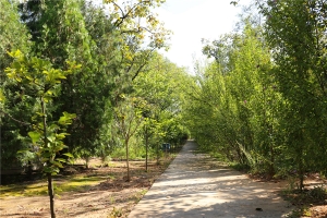 华夏陵园景观图片