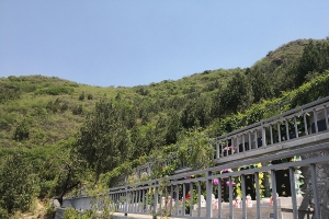 德陵公墓景观图片