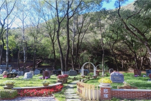 八达岭陵园景观图片