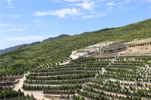 龙泉公墓景观图片