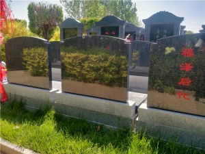 万桐园墓地陵园：生命终章的静谧选择