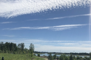 天福园公墓景观图片