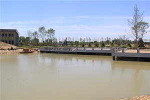 陵园水系3