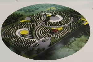 平面图