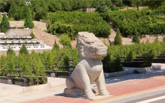 盘龙台公墓环境图161164217598398