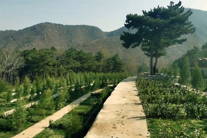 永宁陵园景观图片